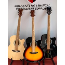 Robinson R40 Acoustic Guitar