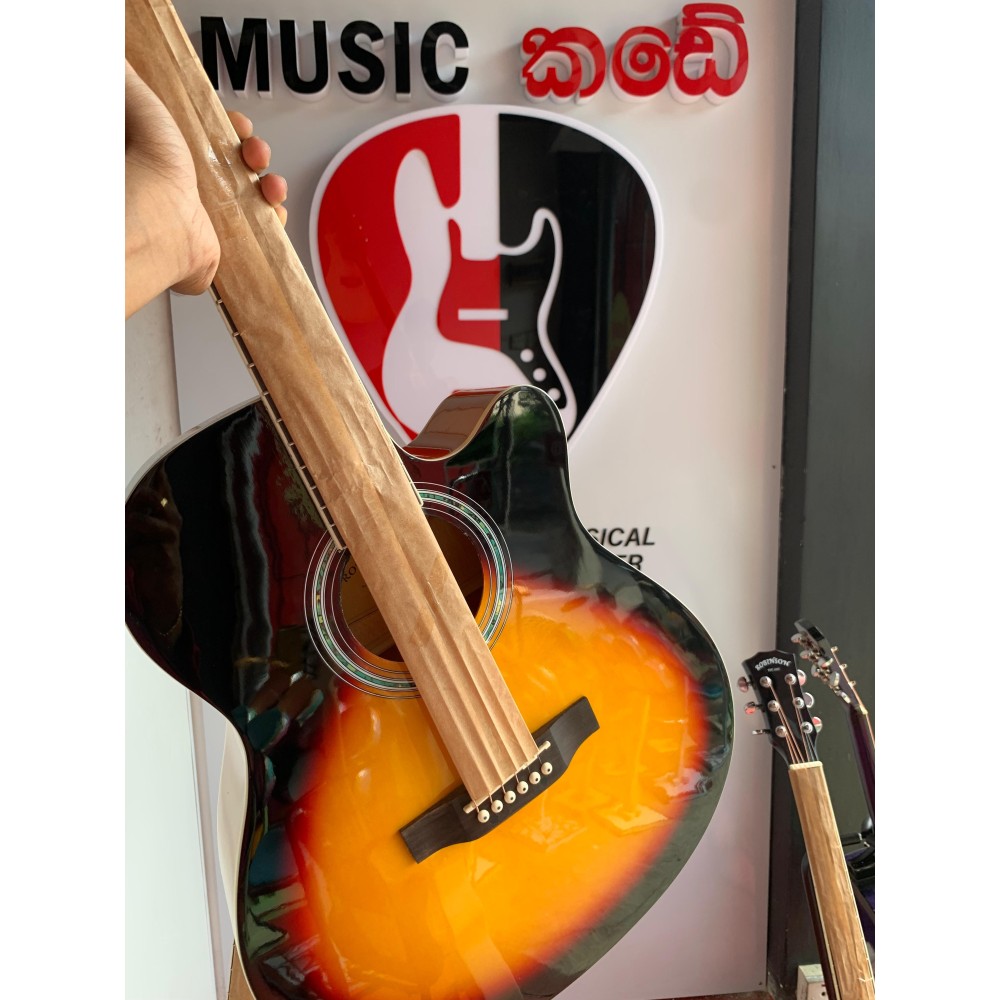 Robinson R40 Acoustic Guitar